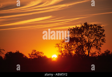 The sun vanishes behind the sparse vegetation near the Australian outback township of Pilliga Stock Photo