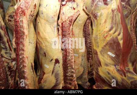 Meat hanging in a cold room Stock Photo