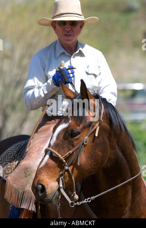 Cowboy on horseback during a cattle round up near Emmett Idaho Stock Photo