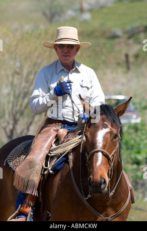 Cowboy on horseback during a cattle round up near Emmett Idaho Stock Photo