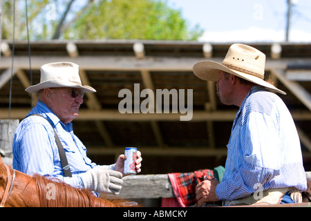 Cowboys enjoy a beer during a cattle round up near Emmett Idaho Stock Photo