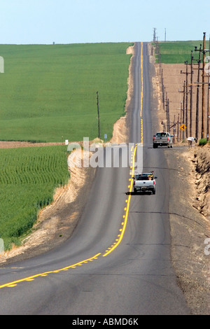 Trucks travel on a coutry road surrounded by green unripe wheat fields near Pendleton Oregon Stock Photo