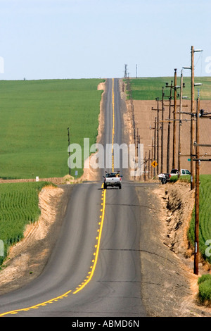Trucks traveling on a country road surrounded by green unripe wheat fields near Pendleton Oregon Stock Photo