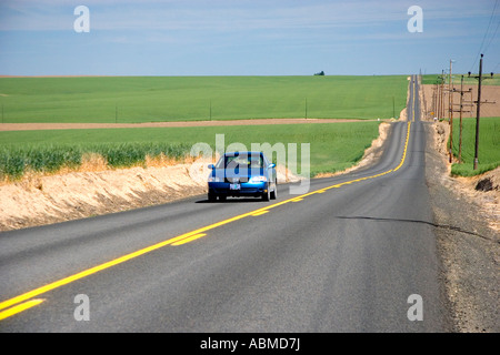 Car traveling on a country road surrounded by green unripe wheat fields near Pendleton Oregon Stock Photo