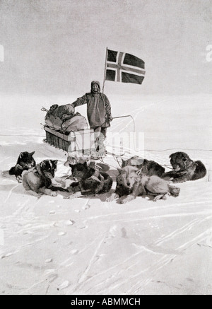 Captain Roald Engelbregt Gravning Amundsen,1872 -1928.  Seen here at the South pole under the Norwegian flag. Stock Photo