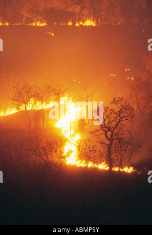 Bush fire out of control northern KwaZulu Natal South Africa Stock Photo