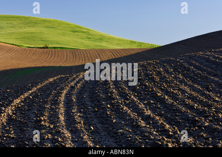 Plowed Field near Colfax, Palouse Region, Whitman County, Washington, USA Stock Photo