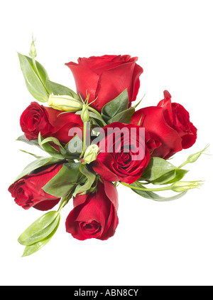 Bouquet of Roses Stock Photo