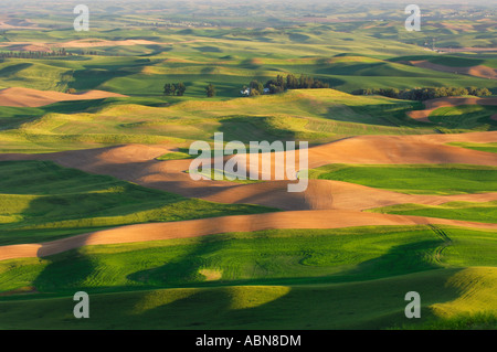 View From Steptoe Butte State Park, Palouse, Washington, USA Stock Photo