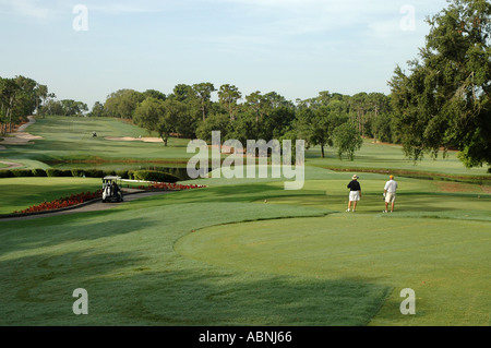 Tarpon Springs Florida Westin Innisbrook Resort Copperhead Golf Course fl Stock Photo