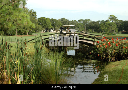 Tarpon Springs Florida Westin Innisbrook Resort Copperhead Golf Course Stock Photo