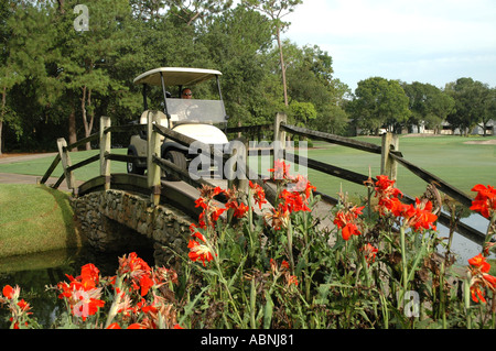 Tarpon Springs Florida Westin Innisbrook Resort Copperhead Golf Course fl golfer in cart going over bridge Stock Photo