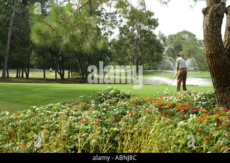 Tarpon Springs Florida Westin Innisbrook Resort Copperhead Golf Course fl MR Stock Photo