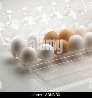Free range, brown chicken eggs in container on white background with slight drop shadow Stock Photo