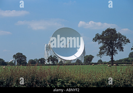 GOOSTREY CHESHIRE England UK The Jodrell Bank radio Telescope built for Manchester University in 1957 250ft wide reflector Stock Photo