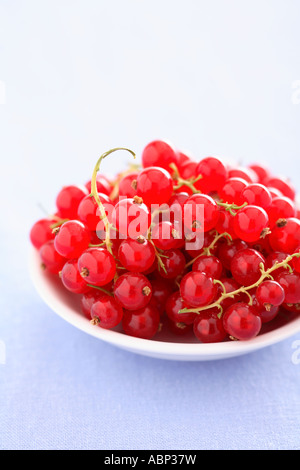 Red currants Stock Photo