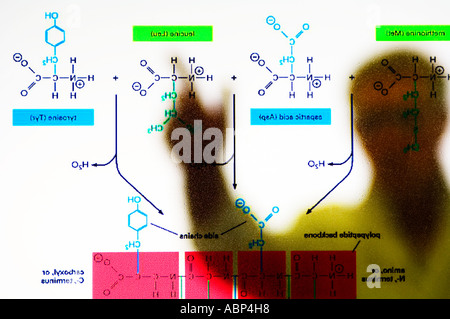abstract view of doctor discussing medical symbol display to fellow doctors Stock Photo