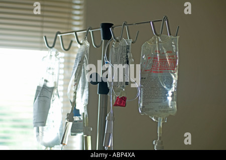 rack of IV intravenous bags hanging in hospital intensive care ward for ...