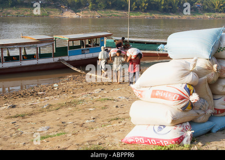 Men Unloading Sacks Of Rice Stock Photo