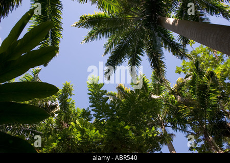 Barbados - Flower Forest tropical rainforest park and botanical gardens ...