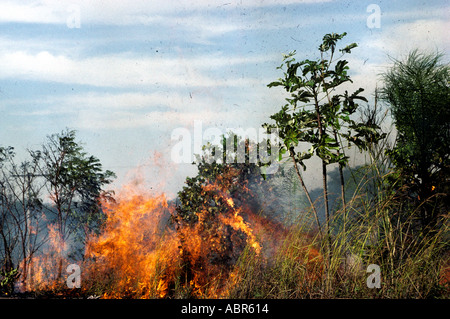 Amazon, Brazil. Burning rainforest to clear land for agriculture. Stock Photo