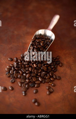 Scoop of coffee beans on dark brown textured surface Stock Photo