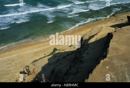 hiker climbing ladder along the Alexandria Trail, South Africa Stock Photo