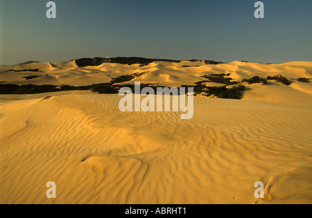 Alexandria Dune field, south Africa Stock Photo