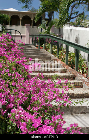 Virgin Islands,USVI,U.S.V.I.,Caribbean Sea,water,Atlantic Ocean,water,St. Thomas,Saint,Charlotte Amalie,Blackbeard's Hill,99 Steps,Villa Notman constr Stock Photo