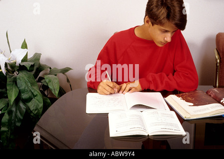 High school boy grade 10 doing homework at table at home Stock Photo