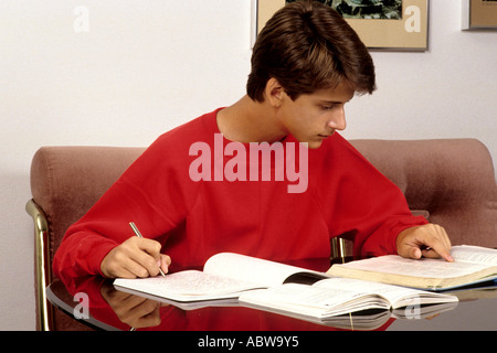 High school boy grade 10 doing homework at table at home Stock Photo