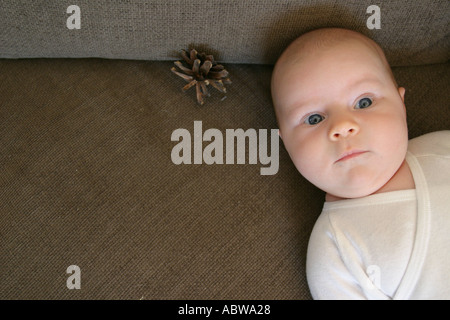 A Swedish baby and a pine cone on a sofa at home. Stock Photo
