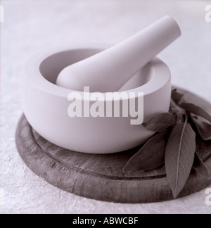 Pestle and Mortar Stock Photo