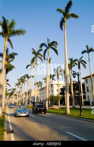 Royal Palms lining both sides of Royal Palm Way, a street in
