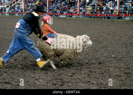 Rodeo Alberta Canada The mutton busters children riding sheep Stock Photo