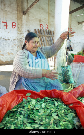 Local coca leaf vendor at Tarabuco Sunday market Legally sold and consumed in Bolivia and Peru Andes Bolivia S America Stock Photo