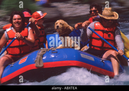 whitewater rafting Martins Rapids McKenzie River Oregon USA Stock Photo