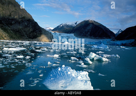 South sawyer glacier and iceberg Southeast Alaska AK Stock Photo