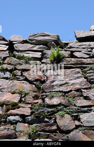 Slate Stone Wall Stock Photo
