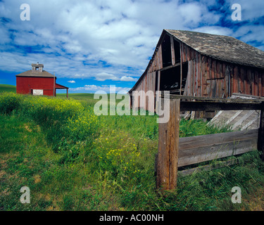 Whitman County, WA: Weathered barn and red granary under clearing storm clouds in the Palouse Country Stock Photo