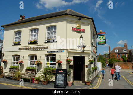 The Hop Blossom pub, Long Garden Walk, Farnham, Surrey, England, United ...