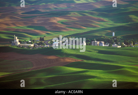 Rolling hills of wheat fields view from Steptoe Butte State Park Palouse area eastern Washington Stock Photo