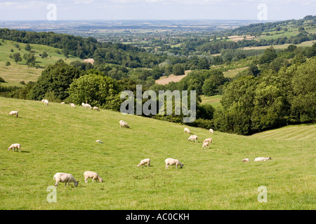 Rolling Cotswold landscape looking north to Broadway from Snowshill Gloucestershire Stock Photo