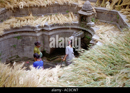 Nepalese women washing harvested wheat in a communal well in the centre of a village in rural Nepal South Asia Stock Photo