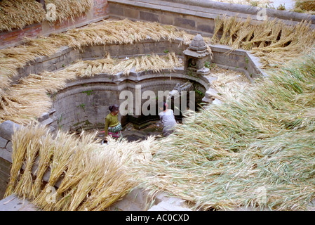 Nepalese women washing harvested wheat in a communal well in the centre of a village in rural Nepal South Asia Stock Photo