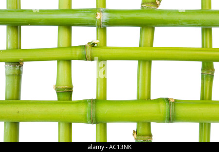 Bamboo pattern isolated against a white background Stock Photo