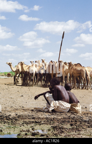 Gabbra youths watch over camels drinking a Kalacha waterhole Chalbi Desert northern Kenya East Africa Stock Photo