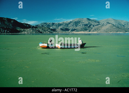Two fishermen collecting algae Uros Islands Lake Titicaca Peru Stock Photo