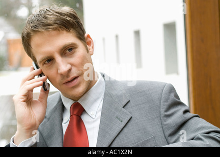 Businessman using his mobile phone Stock Photo