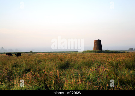 A landscape of grazing marshes and the derelict Womack Water Drainage Mill on the Norfolk Broads at Horse Fen, Ludham, Norfolk, England, UK. Stock Photo